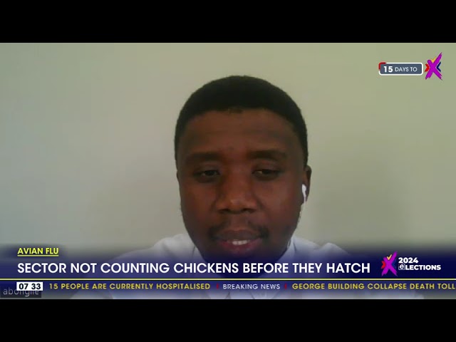 ⁣Avian Flu | Sector not counting chickens before they hatch
