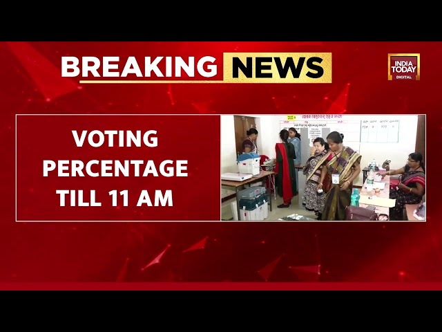 Lok Sabha Elections 2024 | Over 24% Voter Turnout Till 11 AM | India Today News