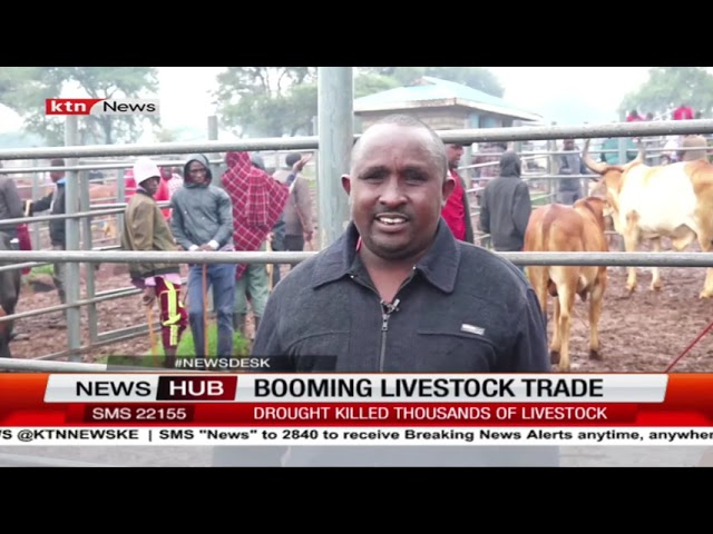 ⁣Farmers in Taita Taveta and Kajiado after livestock trade booms after long drought