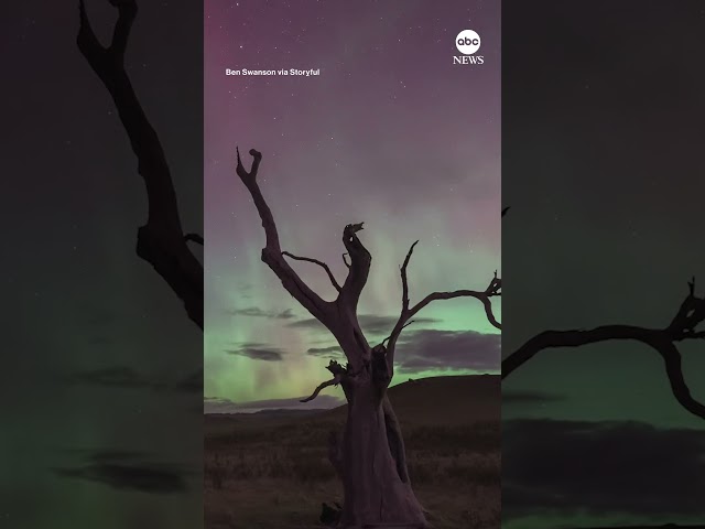 ⁣Timelapse shows aurora over Tazmania during geomagnetic storm