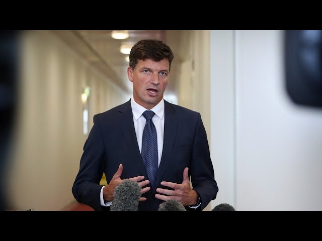 ⁣Labor’s version of unavoidable spending is ‘always the wrong one’: Angus Taylor