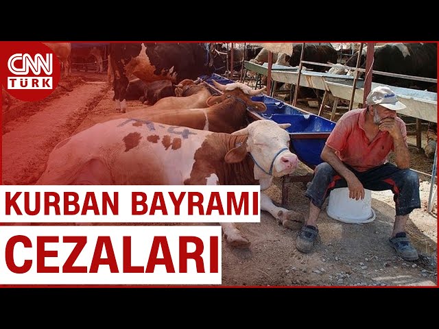 Kurban Bayramı Yaklaşırken Cezalar Da Belli Oldu... Parkta Kurban Kesene 4 Bin 810 TL Ceza!