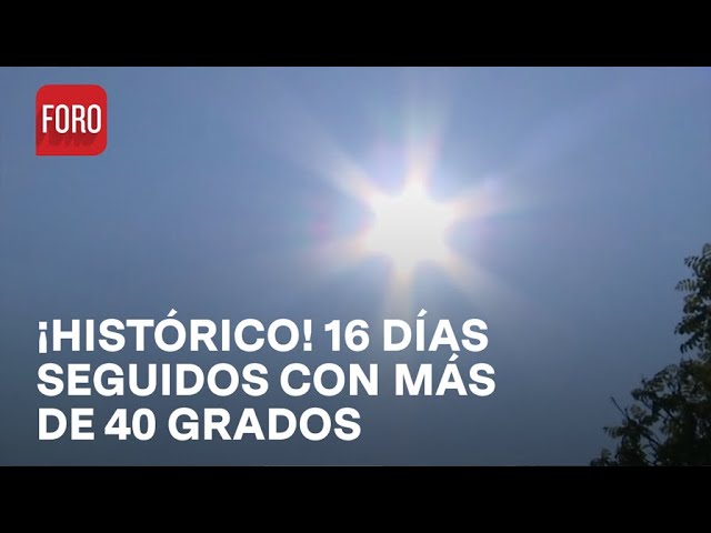 ⁣Ola de calor en México; 16 días seguidos con más de 40 grados - Hora 21