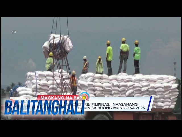 ⁣USDA: Posibleng top rice importer ang Pilipinas sa 2025 | BT
