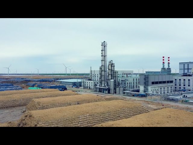 ⁣GLOBALink | Chinese company turns straw into energy in Shandong