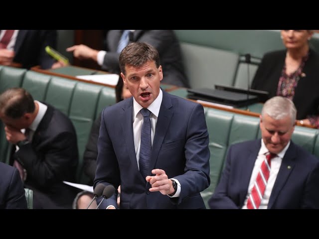 ⁣‘Band-Aid on a bullet wound’: Angus Taylor blasts Labor over energy relief ‘failure’