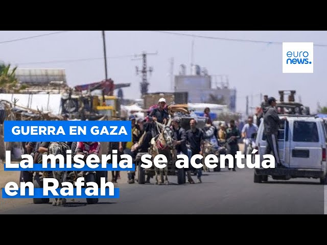 ⁣La miseria se acentúa en Rafah entre desplazamientos masivos y ataques israelíes