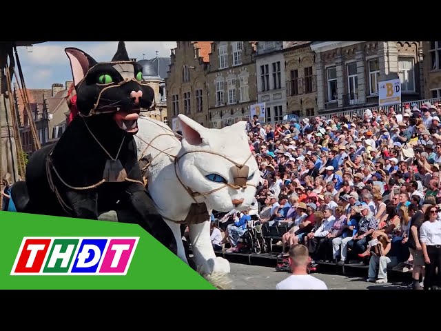 ⁣Độc đáo Lễ hội rước mèo ở Bỉ | THDT