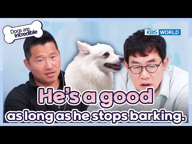 ⁣He's a good dog as long as he stops barking [Dogs Are Incredible : EP.219-1] | KBS WORLD TV 240