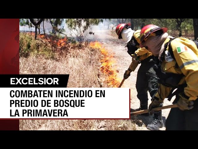 Arde otra vez el Bosque La Primavera por incendio en Las Tinajitas