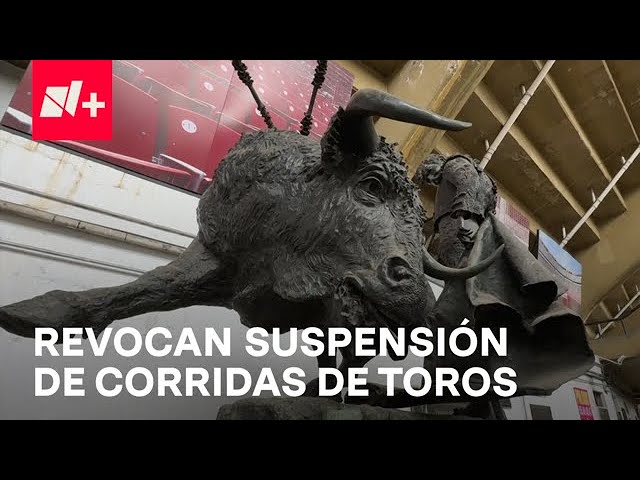 Revocan suspensión provisional contra corrida de toros en Plaza México - Despierta