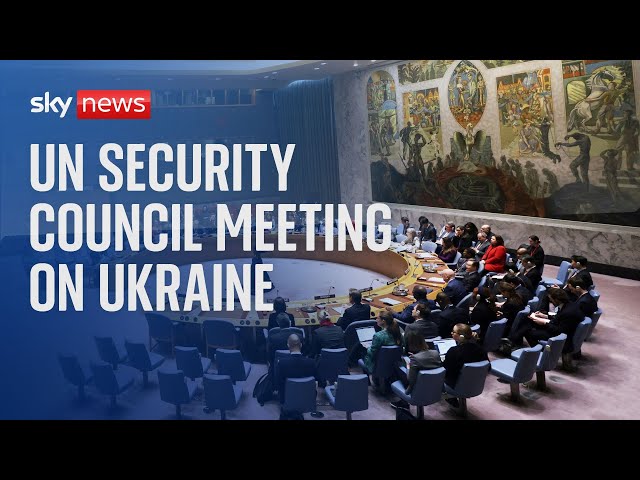 ⁣Watch live: UN Security Council meeting on Ukraine