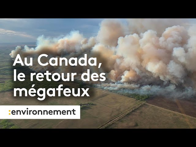 ⁣Canada : des milliers de personnes évacuées en raison des "méga-feux"