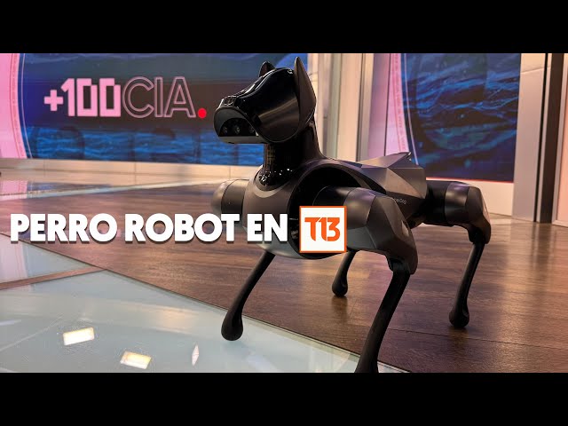 ⁣Este es el perro robot de Xiaomi entrenado con Inteligencia Artificial