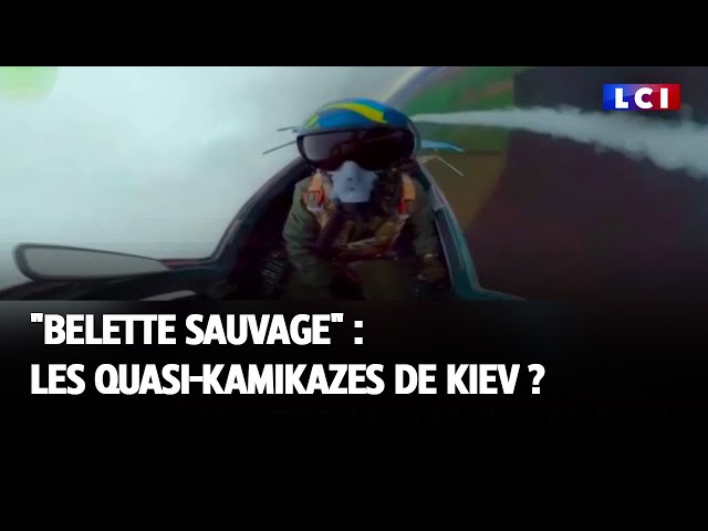⁣"Belette sauvage" : les quasi kamikazes de Kiev