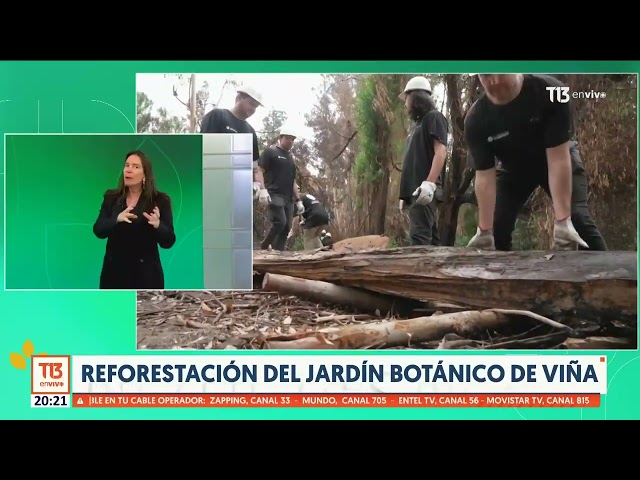 ⁣Fundación Reforestemos y su plan de restauración del ecosistema de Coyhaique