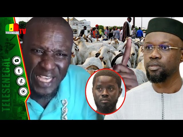 ⁣[LIVE] Urgent Sonko à arrêté tous les..., Assane Diouf crache ses vérités sur le Gouvernement