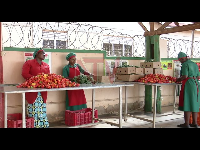 ⁣Ugandan horticulture  firms explore Italian market