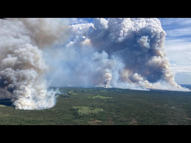 ⁣WILDFIRES IN CANADA | Fort Nelson, B.C. mayor warns residents to 'Please stay out of the fire z