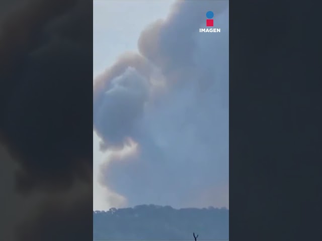 ⁣Se desata incendio forestal en Mazamitla | Shorts | Rey