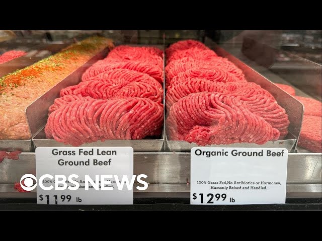 ⁣What to know about U.S. food safety amid bird flu, E. coli outbreaks