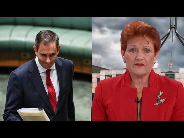 ⁣Labor ‘pulling the wool over people’s eyes’ with housing budget claims: Pauline Hanson