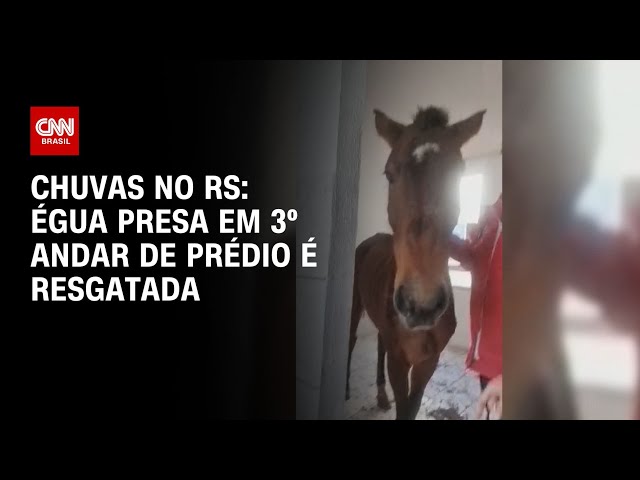 ⁣Chuvas no RS: égua presa em 3º andar de prédio é resgatada | CNN NOVO DIA