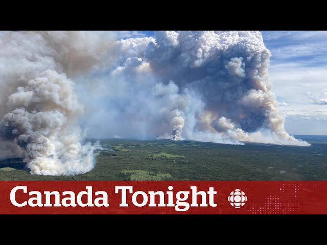 ⁣Fort Nelson evacuation has ‘put a lot of pressure on the elderly:’ evacuee | Canada Tonight