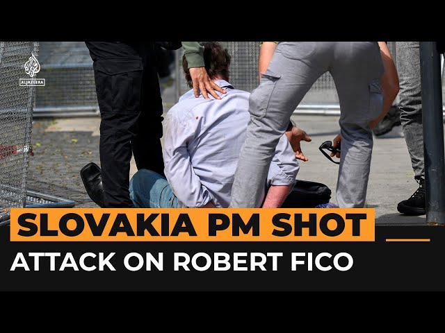 Slovakia Prime Minister Robert Fico shot while meeting supporters | AJ #Shorts