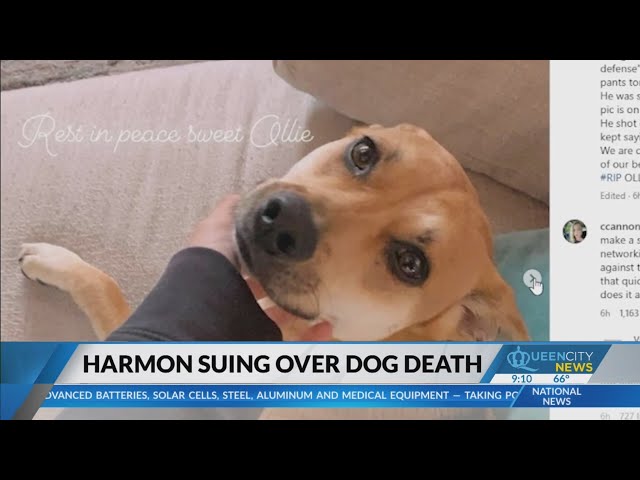 ⁣Actress files suit after dog is shot at CLT home
