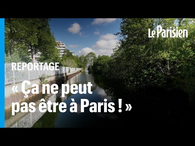 ⁣La darse du Rouvray, un « havre de paix et de biodiversité » que Paris promet de préserver
