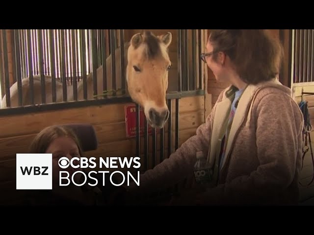 ⁣Massachusetts horseback program helps children with special needs learn life skills