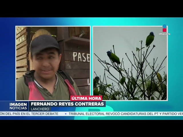 ⁣Aves mueren en San Luis Potosí debido a las altas temperaturas | DPC con Nacho Lozano