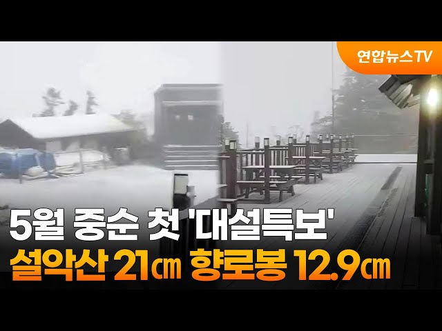 ⁣5월 중순 첫 '대설특보'…설악산 21㎝ 향로봉 12.9㎝ / 연합뉴스TV (YonhapnewsTV)