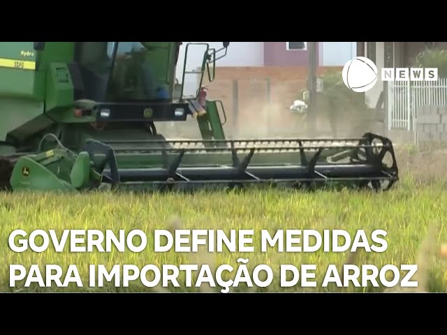 ⁣Governo Federal define parâmetros para importação de arroz