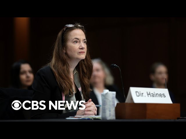 ⁣Senate Intelligence Committee holds hearing on election threats | full video