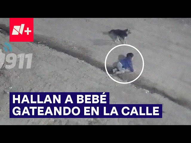 Hallan a bebé gateando en la calle de madrugada - N+