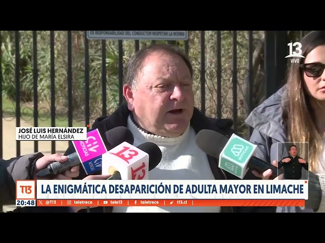 ⁣Adulta mayor lleva cuatro días desaparecida en Limache: Perros se sumaron a la búsqueda