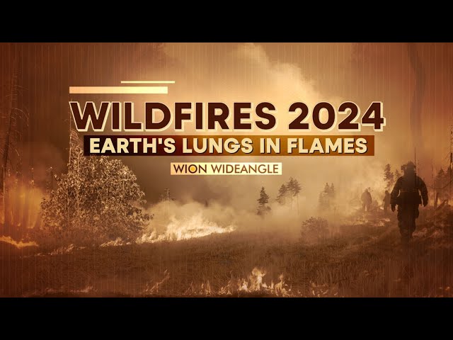 ⁣Wildfires 2024: Canada, Uttarakhand | WION Wideangle