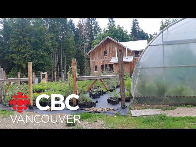 ⁣Denman Island, B.C., homesteader says home is about sustainability