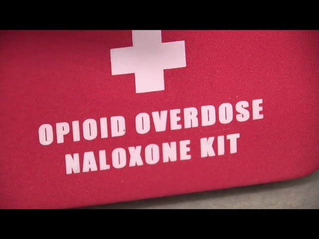 ⁣US overdose death rate falls, but not Colorado’s