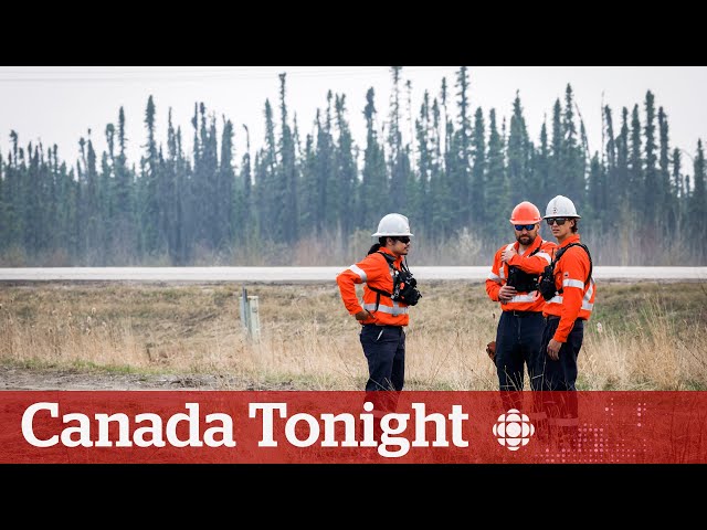⁣As Western Canada wildfires grow, the scariest part is 'the unknown': evacuee | Canada Ton