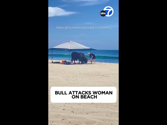 ⁣Bull attacks person on Mexican beach as onlookers scream
