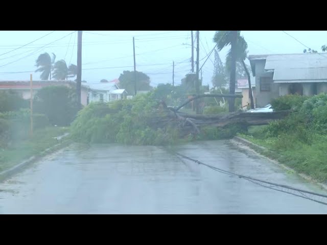 ⁣Barbados continues to champion fight against climate change