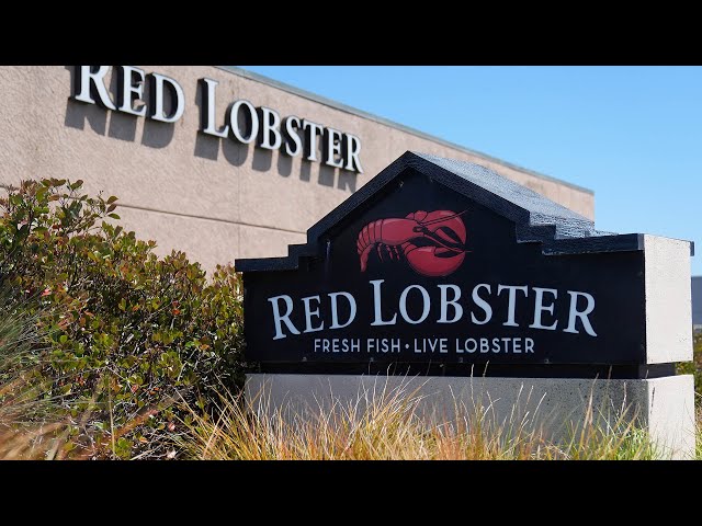 ⁣Red Lobster shuts down 40 restaurants | Is the food chain filing for bankruptcy protection?