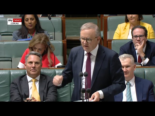 Coalition ‘said no to everything for two years’: Albanese