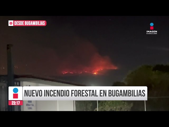⁣Se registra otro incendio forestal en Bugambilias | Imagen Noticias GDL con Rey Suárez