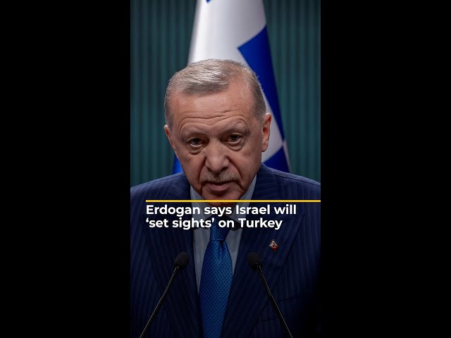 ⁣Erdogan says Israel will 'set sights' on Turkey | AJ #shorts