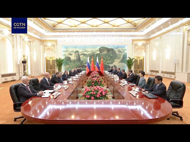 Си Цзиньпин напомнил Владимиру Путину, что они встречались не меньше 40 раз
