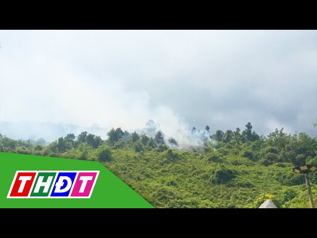 ⁣Khống chế vụ cháy rừng gần khu du lịch tại Đà Nẵng | THDT